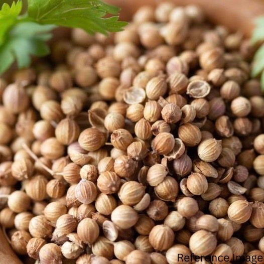 Orgenik Bulk: Shop Natural Coriander (Whole) - (Brown) from FPC - 01 - Kota - Rajasthan on Orgenik Bulk.