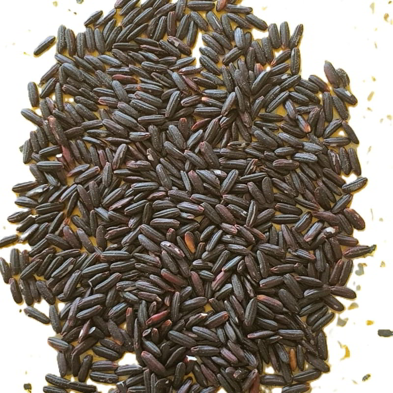 Orgenik Bulk: Shop Black Rice (Sticky) from LG - 02 - West Medinipur - West Bengal.