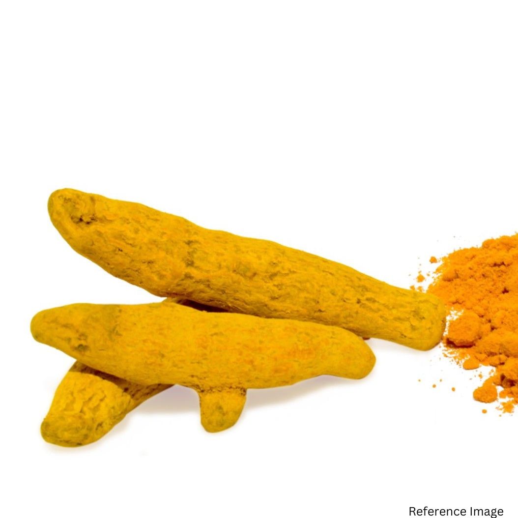 Orgenik Bulk: Buy Darjeeling Himalayan Organic Dried Turmeric - (Whole) from LG - 04 - Darjeeling - West Bengal