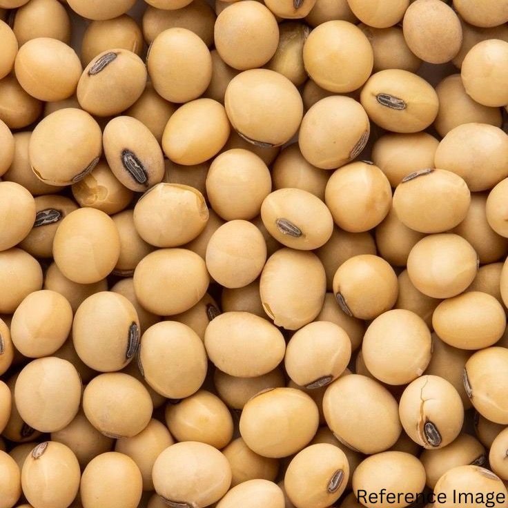 Orgenik Bulk: Shop Organic Soybean from the brand CO - 04 - Gujarat on Orgenik Bulk.