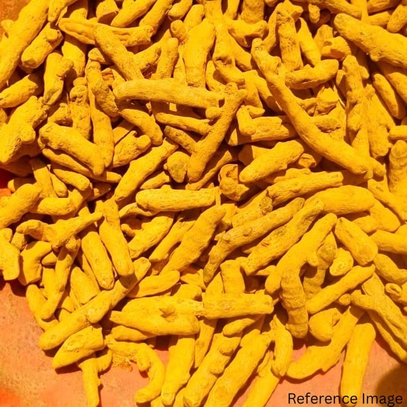 Orgenik Bulk: Shop Natural Dried Premium Turmeric (Whole) from the brand FPC - 01 - North East on Orgenik Bulk.