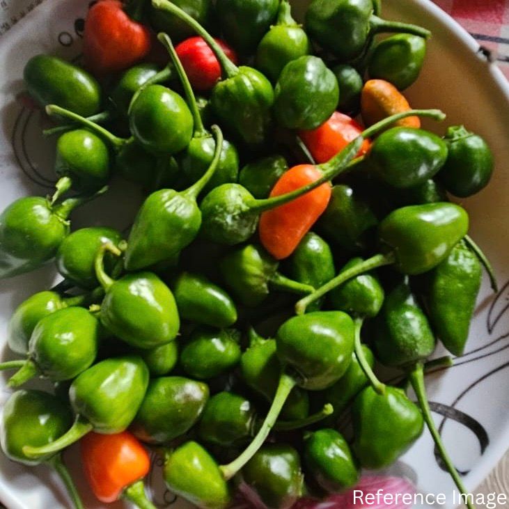 Orgenik Bulk: Shop Natural Dalle Khursani Chilli (GI Tagged) from FPC - 01 - Sikkim on Orgenik Bulk.