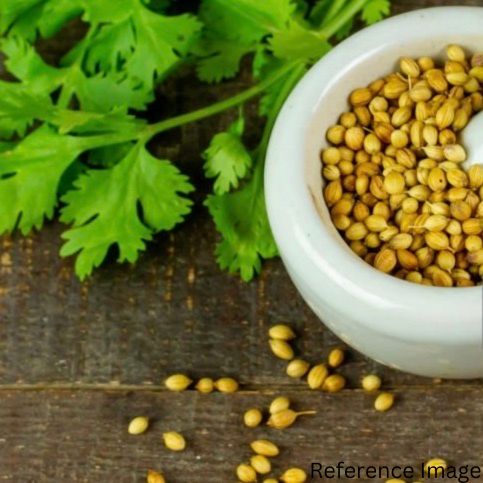 Orgenik Bulk: Shop Natural Coriander (Whole) - (Dark Green) from FPC - 01 - Kota - Rajasthan on Orgenik Bulk.