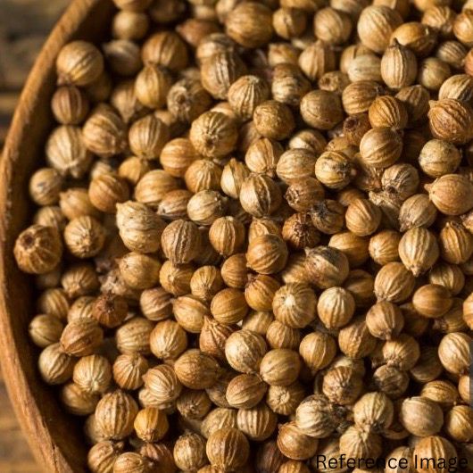 Orgenik Bulk: Shop Natural Coriander (Whole) - (Light Green) from FPC - 01 - Kota - Rajasthan on Orgenik Bulk.