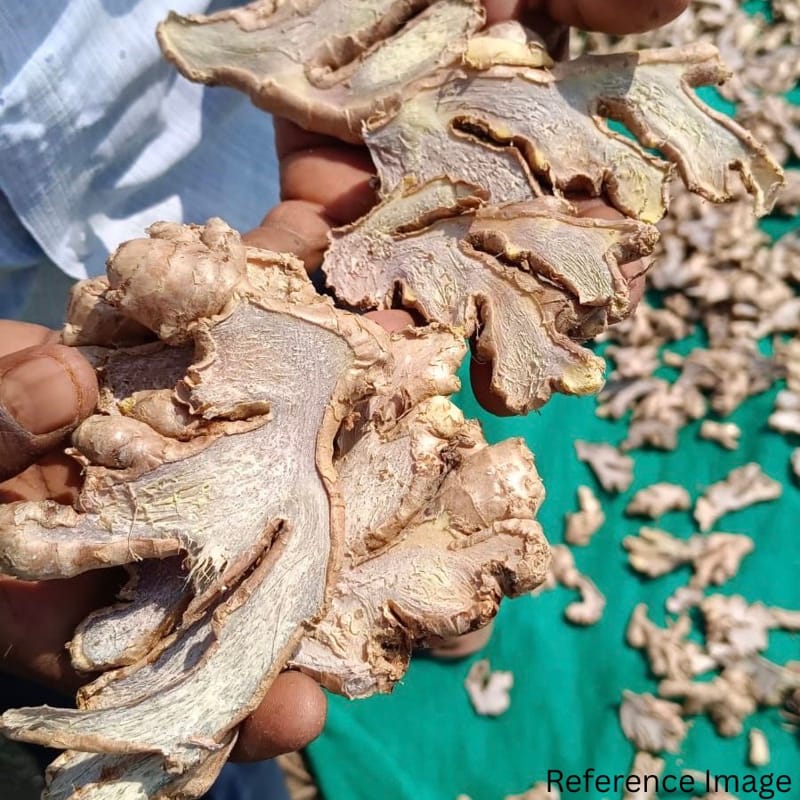 Orgenik Bulk: Shop Natural Dried Ginger (Sliced) from the brand FPC - 01 - North East on Orgenik Bulk.