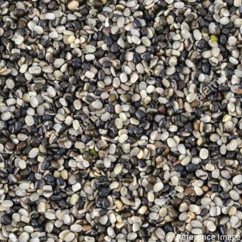 Orgenik Bulk: Shop Organic Urad (Split) from the brand CO - 04 - Gujarat on Orgenik Bulk.