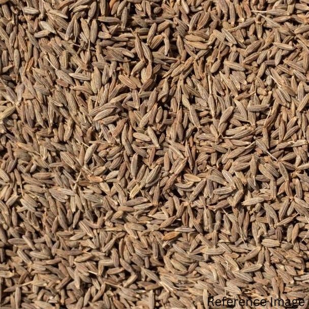 Orgenik Bulk: Shop Natural Cumin (Whole) from FPC - 01 - Kota - Rajasthan on Orgenik Bulk.