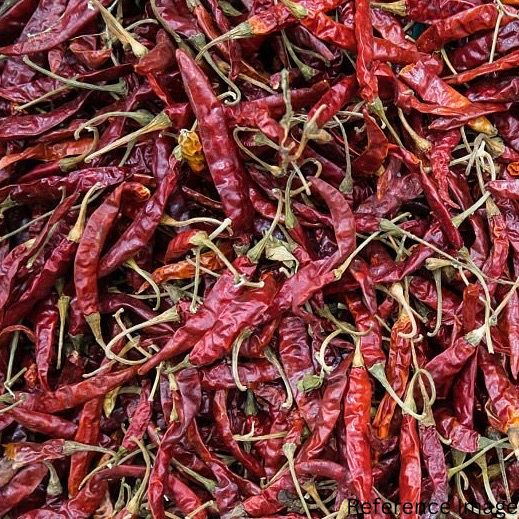 Orgenik Bulk: Shop Natural Chilli (Whole) - (Thin) from FPC - 01 - Kota - Rajasthan on Orgenik Bulk.